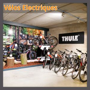 Vélos